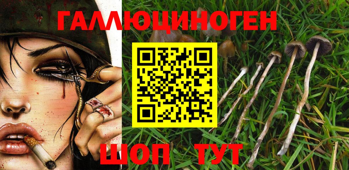 Выкса  Псилоцибиновые грибы мухоморы  Вход с VPN  Галлюциногенные грибы мицелий 